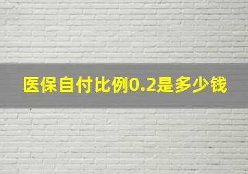 医保自付比例0.2是多少钱