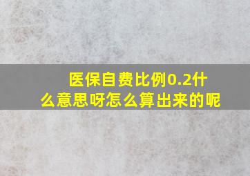 医保自费比例0.2什么意思呀怎么算出来的呢