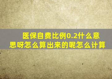 医保自费比例0.2什么意思呀怎么算出来的呢怎么计算