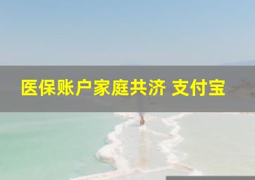 医保账户家庭共济 支付宝