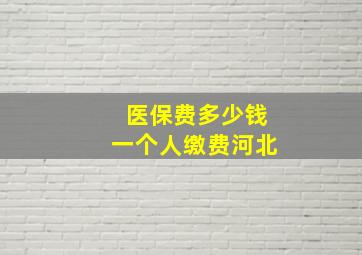 医保费多少钱一个人缴费河北