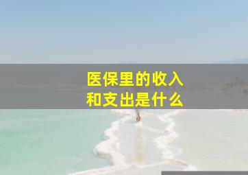 医保里的收入和支出是什么