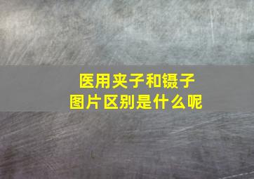 医用夹子和镊子图片区别是什么呢