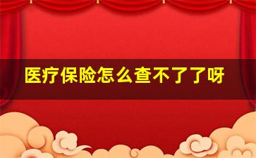 医疗保险怎么查不了了呀