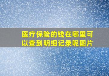 医疗保险的钱在哪里可以查到明细记录呢图片