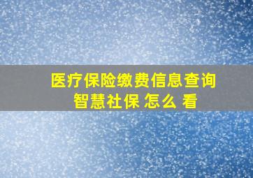 医疗保险缴费信息查询 智慧社保 怎么 看