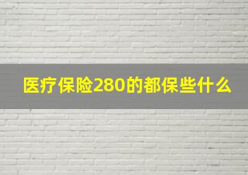 医疗保险280的都保些什么