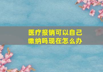 医疗报销可以自己缴纳吗现在怎么办