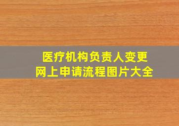 医疗机构负责人变更网上申请流程图片大全