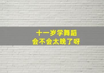 十一岁学舞蹈会不会太晚了呀