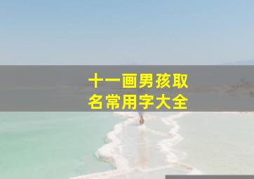 十一画男孩取名常用字大全