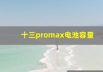 十三promax电池容量