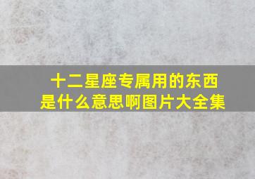 十二星座专属用的东西是什么意思啊图片大全集