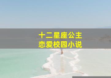 十二星座公主恋爱校园小说