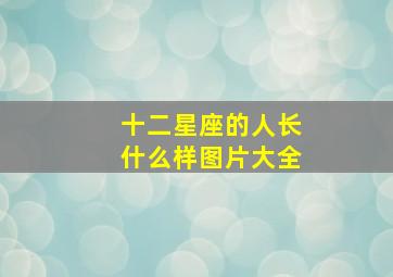 十二星座的人长什么样图片大全