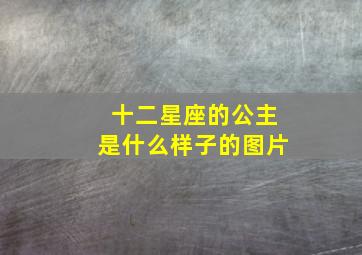 十二星座的公主是什么样子的图片