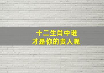 十二生肖中谁才是你的贵人呢