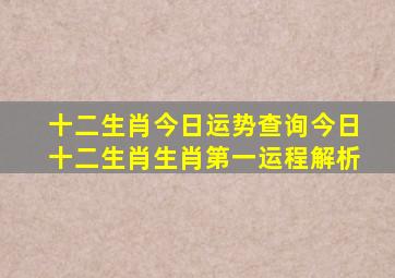 十二生肖今日运势查询今日十二生肖生肖第一运程解析