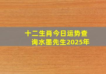 十二生肖今日运势查询水墨先生2025年