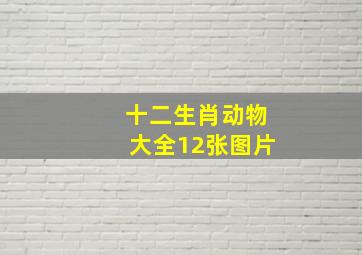 十二生肖动物大全12张图片