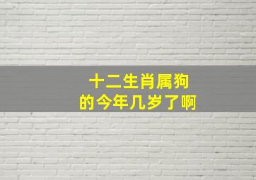 十二生肖属狗的今年几岁了啊