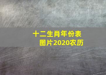 十二生肖年份表图片2020农历