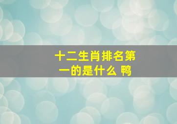 十二生肖排名第一的是什么 鸭