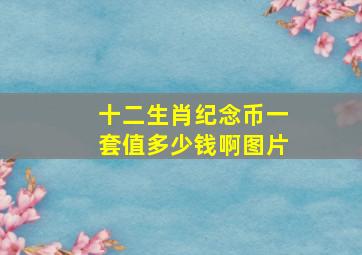 十二生肖纪念币一套值多少钱啊图片