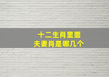 十二生肖里面夫妻肖是哪几个