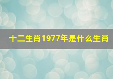 十二生肖1977年是什么生肖