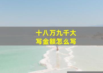 十八万九千大写金额怎么写