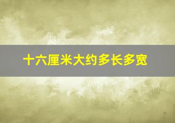 十六厘米大约多长多宽