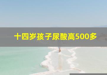 十四岁孩子尿酸高500多