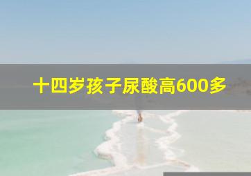 十四岁孩子尿酸高600多