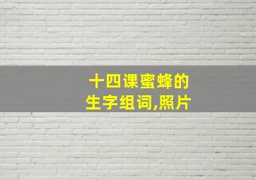 十四课蜜蜂的生字组词,照片