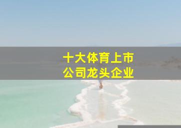 十大体育上市公司龙头企业