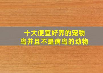 十大便宜好养的宠物鸟并且不是病鸟的动物