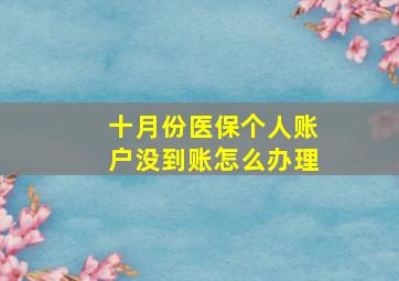 十月份医保个人账户没到账怎么办理