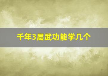 千年3层武功能学几个