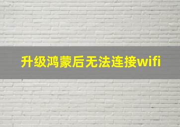 升级鸿蒙后无法连接wifi