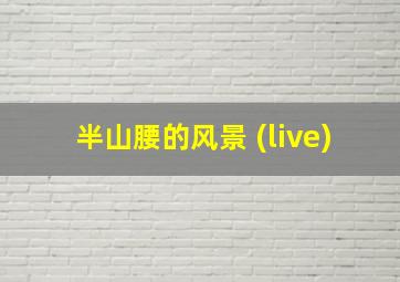 半山腰的风景 (live)