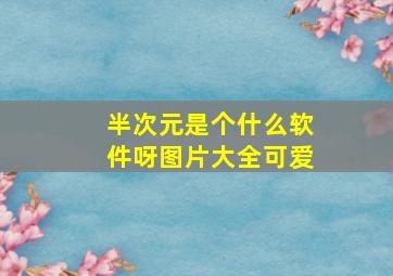 半次元是个什么软件呀图片大全可爱