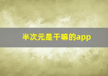 半次元是干嘛的app