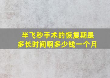 半飞秒手术的恢复期是多长时间啊多少钱一个月