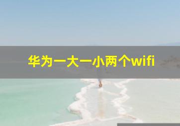 华为一大一小两个wifi