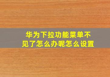 华为下拉功能菜单不见了怎么办呢怎么设置