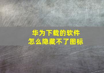 华为下载的软件怎么隐藏不了图标