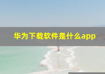 华为下载软件是什么app