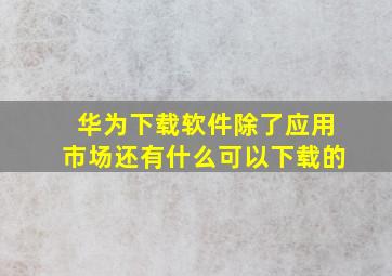 华为下载软件除了应用市场还有什么可以下载的