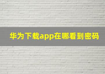 华为下载app在哪看到密码